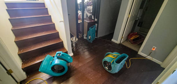 Best Odor Removal and Sanitization After Water Damage in Greeneville, TN